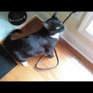 Meet your Posher, Karen